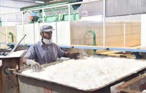 Kuriyah oiy 6 mastherey 9 sarahahddhehggai ice plant bahattai ninmanee