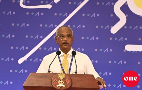The President urges local councils for more substantial support to WDCs