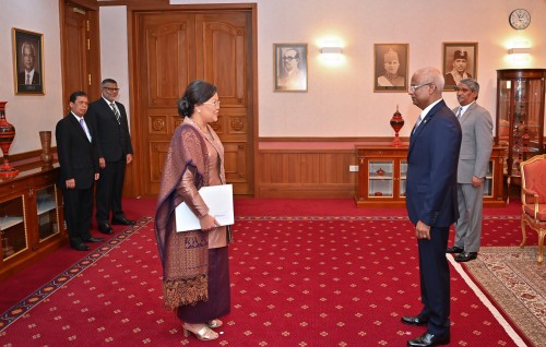 New Ambassador of Indonesia presents credentials to President