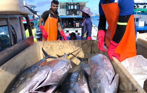Europe ge gaumuthakah etherekuraa dhivehi kan’du mahuge baavaiythakun duty maafukurumah mashvaraa kohffi