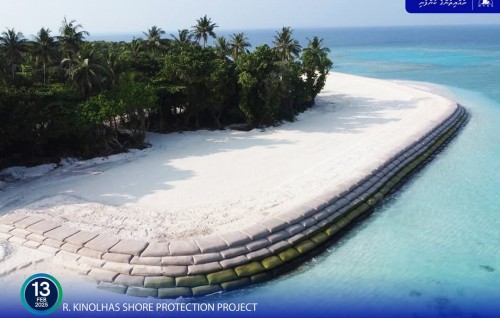 Kinolhas gondudhoh himaayai kurumuge mashroou ninmaifi