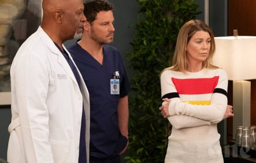ABC renews Grey's Anatomy for two more seasons