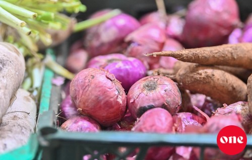 Hulhumale' gai STO ge wholesale centre eh hulhuvaifi