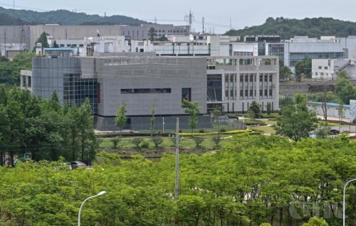 Wuhan lab had three live bat coronaviruses: Chinese state media