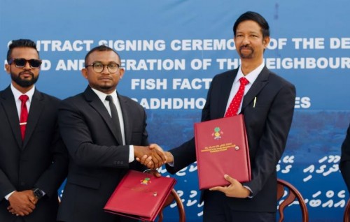 Gahdhoo geysdhoshu mas factory tharaggee kuran Lanka kunfungyakaa havaalu koffi