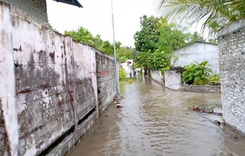 Dhekuna eri udhaigai 18 rashege 200 ahvure gina geya lonu vadhe gelluvi: NDMA