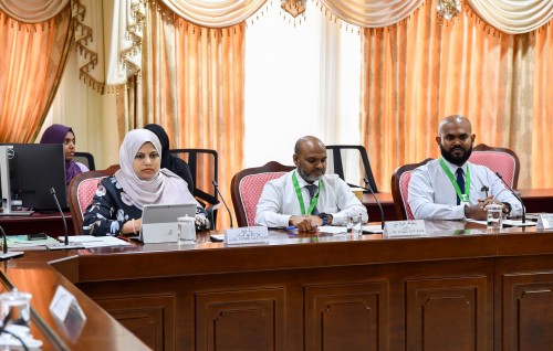 Thailand aai Dubai in Aasandha libeyne dhuvaheh varah avahah iulaan kuraane: Heena