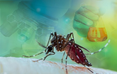 Nurahkkaatheri ''West Nile Virus'' jehi Israel ge 8 meehaku maruvehjje