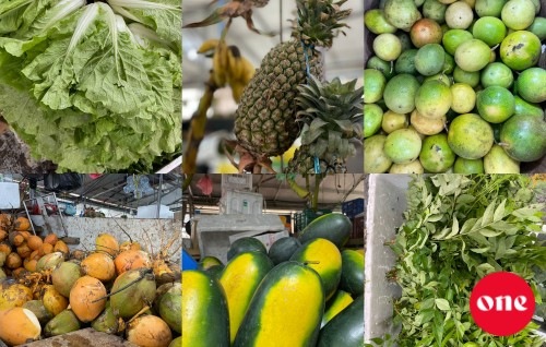 Roadha 1 baazaaruge aguthah: Faiypilaaveyaai fanigiraa thakethi thiyaagi!