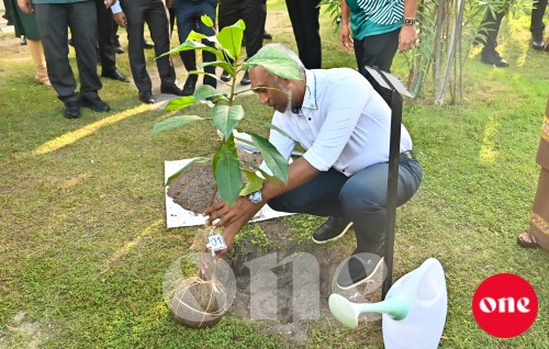 Raajjeyge musthagubalu gulhifaivanee dhuniyeyge thimaavettaa, avas fiyavalhu alhan jehey: Raees 