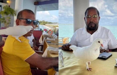 Nasheed aai Qasim bahdhalu kuravvaifi, enmenge nazaru hudhu kotharakah!