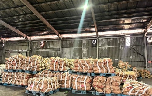 Fiyaa ge ithuru shipment thah genes, miadhu baazaarah nerefi