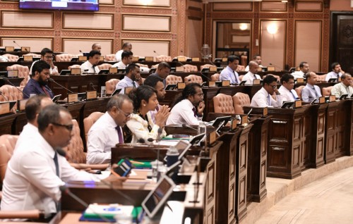 Supplementary budget of MVR 6.5mn approved