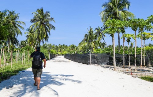 Thoddoo gai barahanaa haalugai ulhunu fathuruveriyaku hayyaru koffi