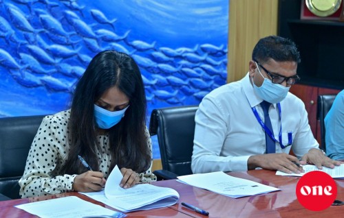 Amilla faraathakaa gulhigen sarukaarun gaaimukuraa furathama ice plant Hoarafushi gai