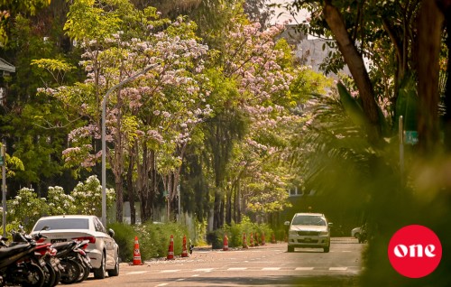 Hulhumale gai car akai cycle eh jehi meehakah aniyaavejje
