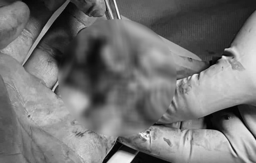 Miyarah kaandhenikoh miyaru hamalaa dhinumuge sababun fathuruveriyehgge ingilithah zahamvehjje