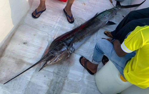 Dhe foot hamanuvaa hibaru beynun manaakoh hibaru masverikamuge gavaaidhu ekulavaa laifi