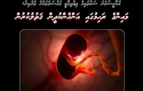 Ekaavees vana sahthaige ijthimaaee mahssalathakuge therein: Mainge rahimugai anhenkudheen qathulukurun 3