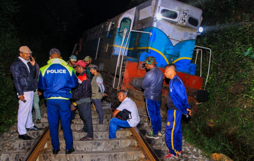 Train hits elephant herd in Sri Lanka, killing at least six elephants, say police