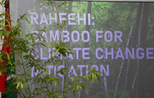 Net Zero emission ge amaazu haasilu kuran Raajjeygai onugas indhanee