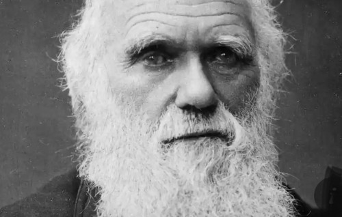 Insaanunge feshumakee raamaamakunu kamah buni Darwin ge autograph eh bodu agugai vihkkumah neelamah laifi