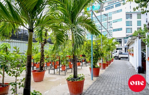 Huddha nunagai viyafaari kuraathee Male’ City Coucil joorimanaa kohfi