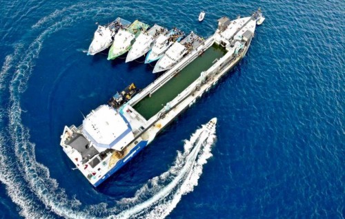 Mahaajarraaf maraamaathu kurumugai corruption ge massalathah faahaga kureveythee ACC ah hushahalhaifi 