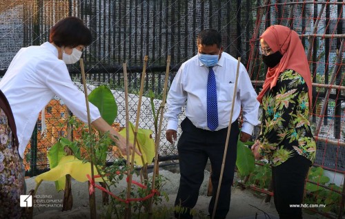 Rahvehi dhan'duverikan ifthithaahukoh, binthah havaalu kohffi