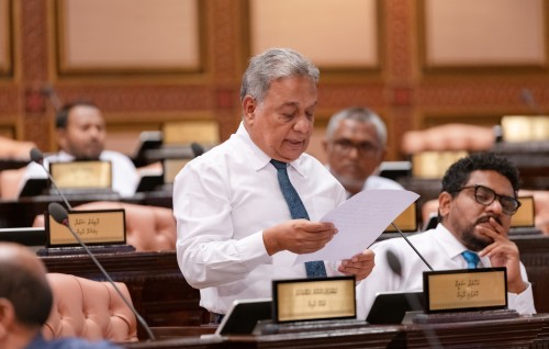Raajjeyge veshin nuhaggu mussandhikan hoadhaa komme meehegge massalaves belen jehey: Saleem