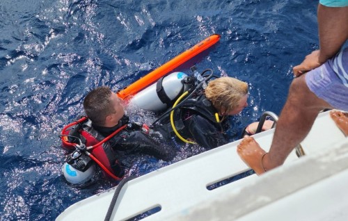 Oyaa dhanikoh fenigen 14 divers salaamaiy koffi