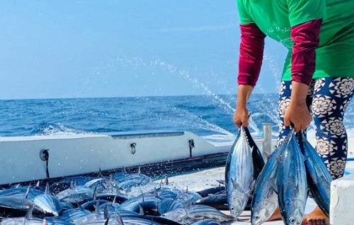 Raajjeyge kandu mahuge masveri kamah furathama faharah rating dheefi