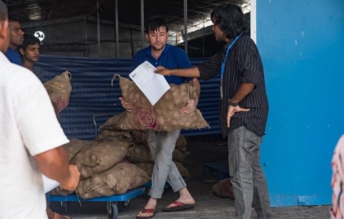 India will continue exporting onions to Maldives in spite of shortage: Embassy