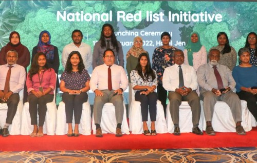 Dhirey thakethi himaayaii kurumah National Red List eh ekulavaalumuge masakkai fashaifi
