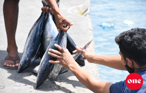 Masverina faisaa dhenee BML ge faisaa'akun noon: BML