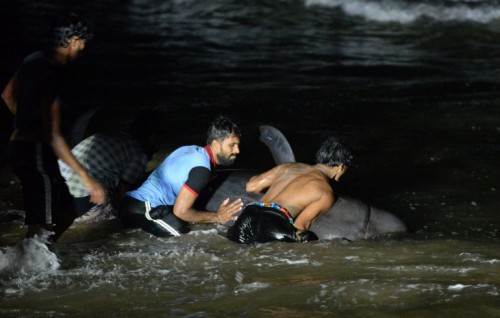 Lanka ge asseyrufashah lahggaafaivaa 100 bodu mas salaamai kohffi