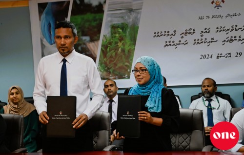 Fuvahmulaku gai dhanduverikamuge gaumee laboratory gaaimu kuranee