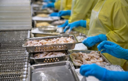 India in export kuri moodhukaanaa ge minvaru record adhadhakah ithuruvejje