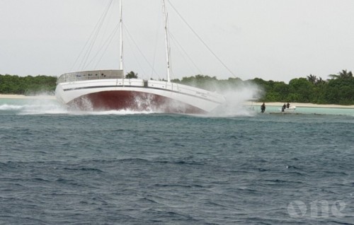 Safari crashes on Dhiffushi reef