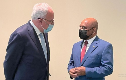 Minister Shahid meets Palestinian Foreign Minister
