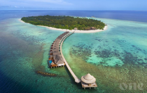 Two suspected of COVID-19 quarantined in Furaveri Resort