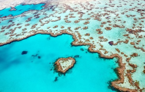 Australia ge Great Barrier Reef himaayai kurumah AI beynunkuranee