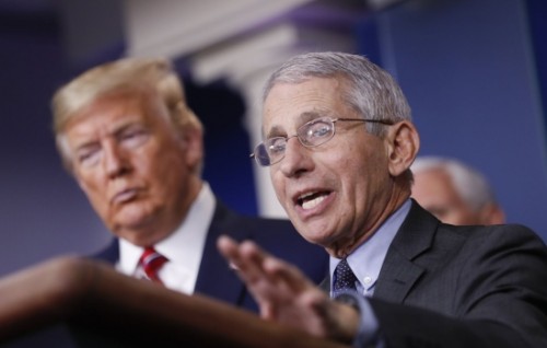 Dhuvaalaku 100,000 Covid case America in fenidhaane : Fauci