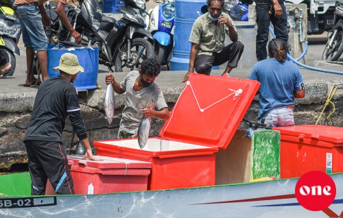 Mas ganna agu 25 rufiyaa ah bodukohffi, maadhamaain feshigen gannaane mi agugai