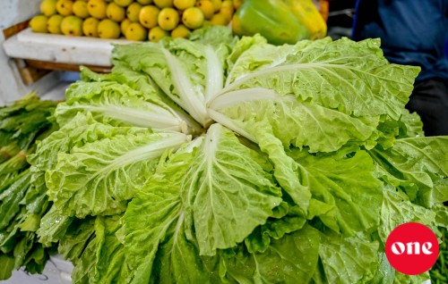 Roadha 8, ONE Roadha baazaar: Iyye 75 ah huri lettuce kg eh miadhu 100 ah!