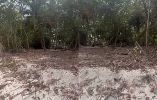 City Council inn Villimale heylhifashun gasthah kendee huhddha nuhoadhai, mahssala balan fashaifi