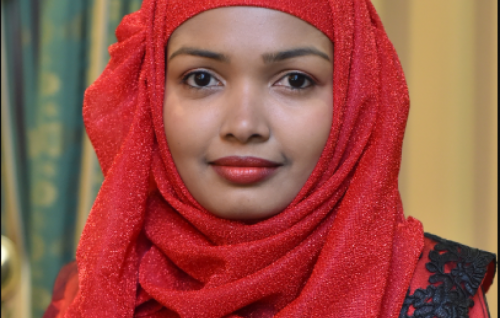 Speaker of Parliament orders committee to continue dismissal of BroadCom member Zeena