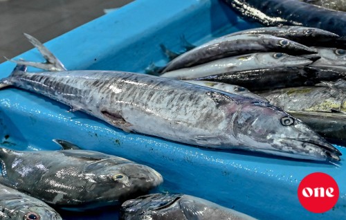 Roadha 7: Mas market gai enme 2 kurumas, ehcheh 800 rufiyaa ah!