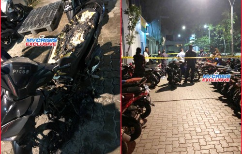 South Thaufeeg cycle gai anehkkaves bayaku roakohllaifi