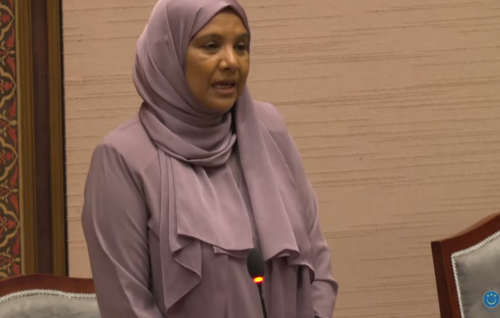 UAE aai Thailand in aasandha libeyne model thakaa gulhey gothun dhanee mashvaraa kuramun: Minister
